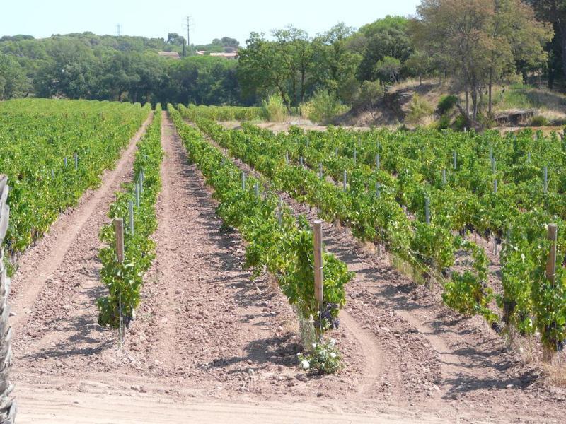 La Bastide Du Clos Des Roses - Teritoria Frejus Luaran gambar